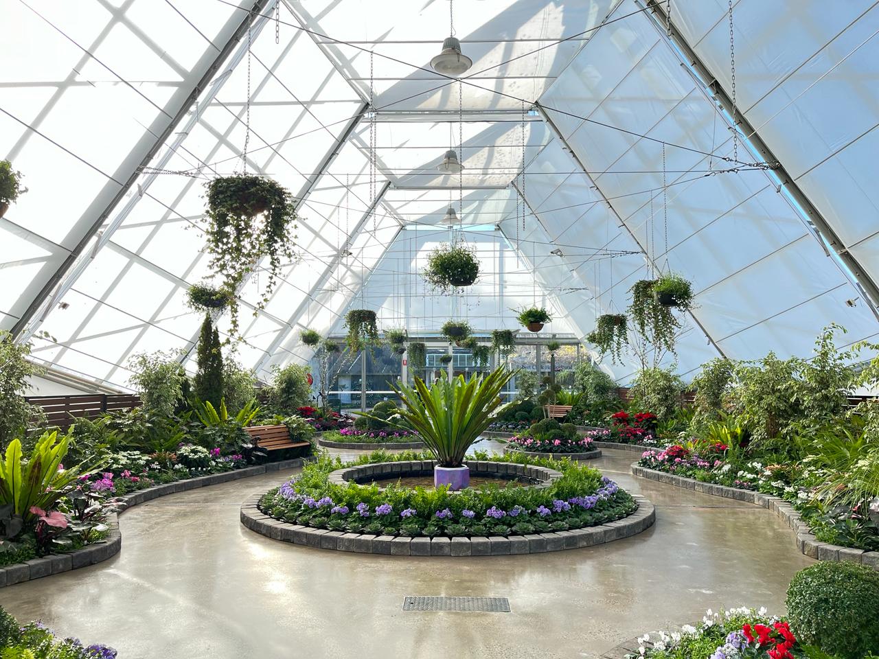 Ballarat Botanical Gardens Glasshouse, [travel album] Madeline Djaja, digital file, 2024