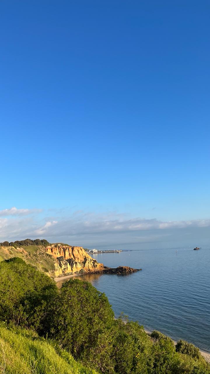 Black Roch Southern Ward, [travel album] Madeline Djaja, digital file, 2024