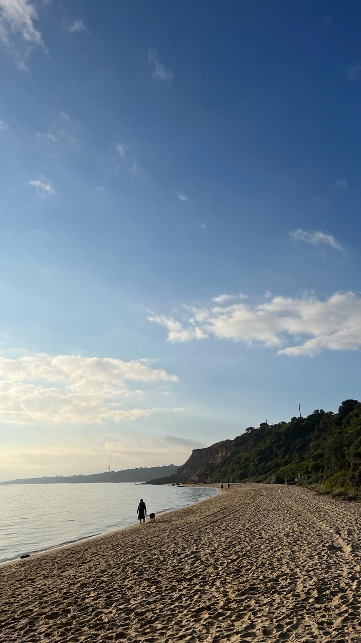 Beachside at Half Moon Bay Beach, [travel album] Madeline Djaja, digital file, 2024