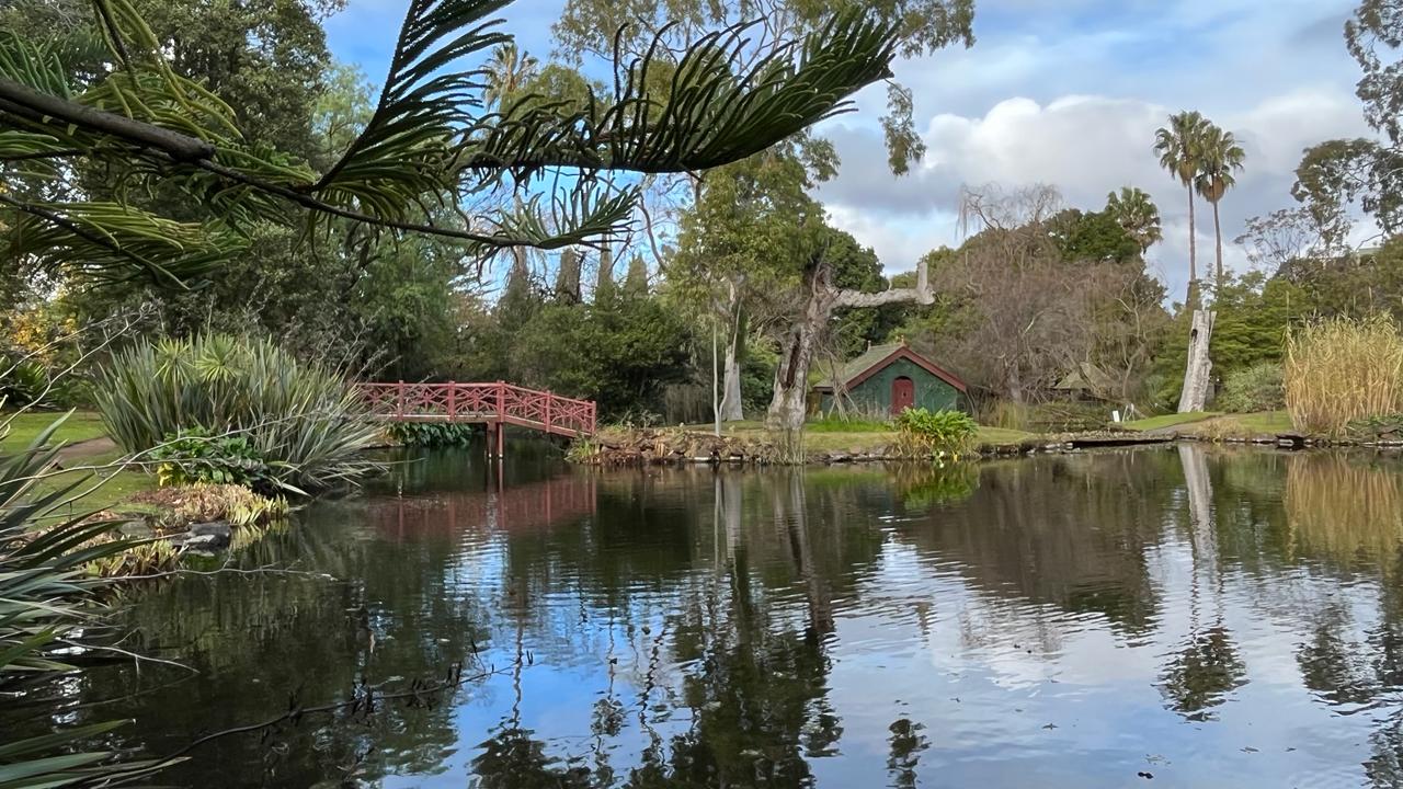 Rippon Lea Estate pond, [travel album] Madeline Djaja, digital file, 2024